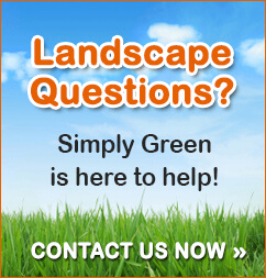 Atlanta Lawn Treatment