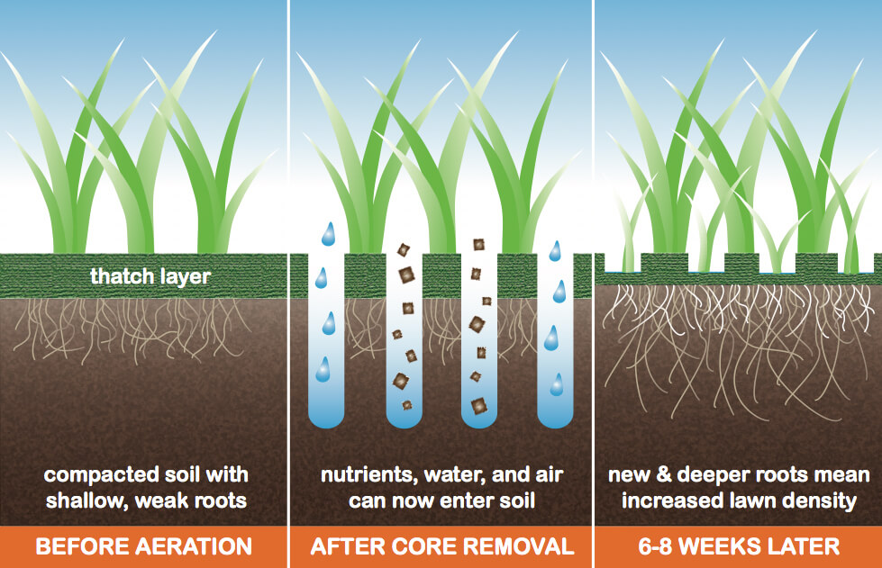 Core Aeration | Atlanta, GA Core Aeration | Atlanta, GA