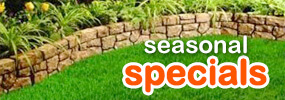 Seasonal Lawn Care Specials | Atlanta, GA