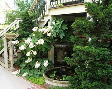 Plant Healthcare | Atlanta, GA