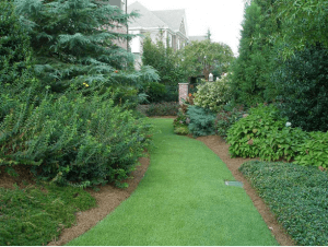 Simply Green Lawn Care