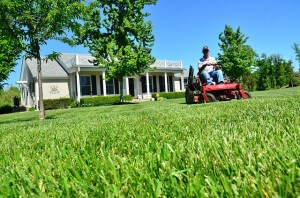 mowing grass
