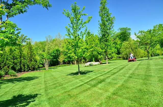 Lawn Care & Landscaping Services | Atlanta, GA Lawn Care & Landscaping Services | Atlanta, GA
