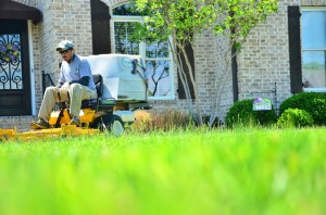 Fall lawn care tips. lawn care