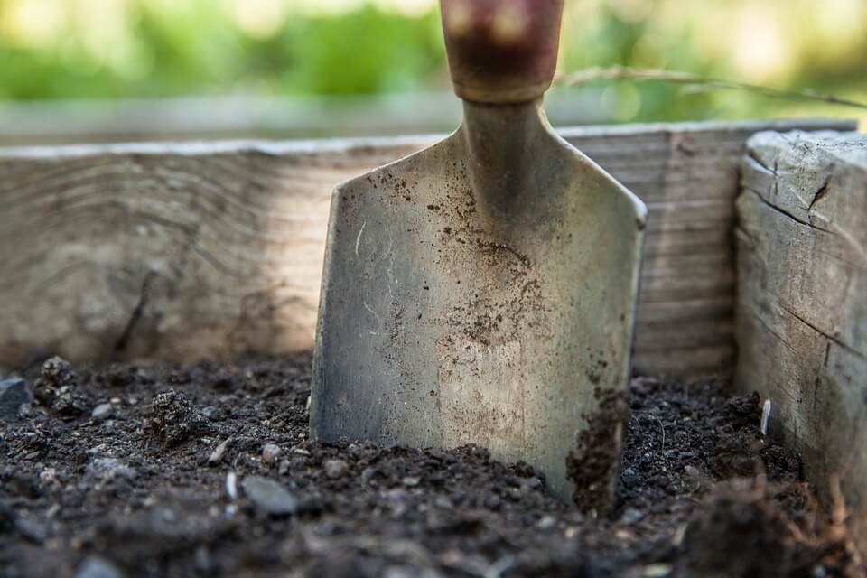 trowel in soil