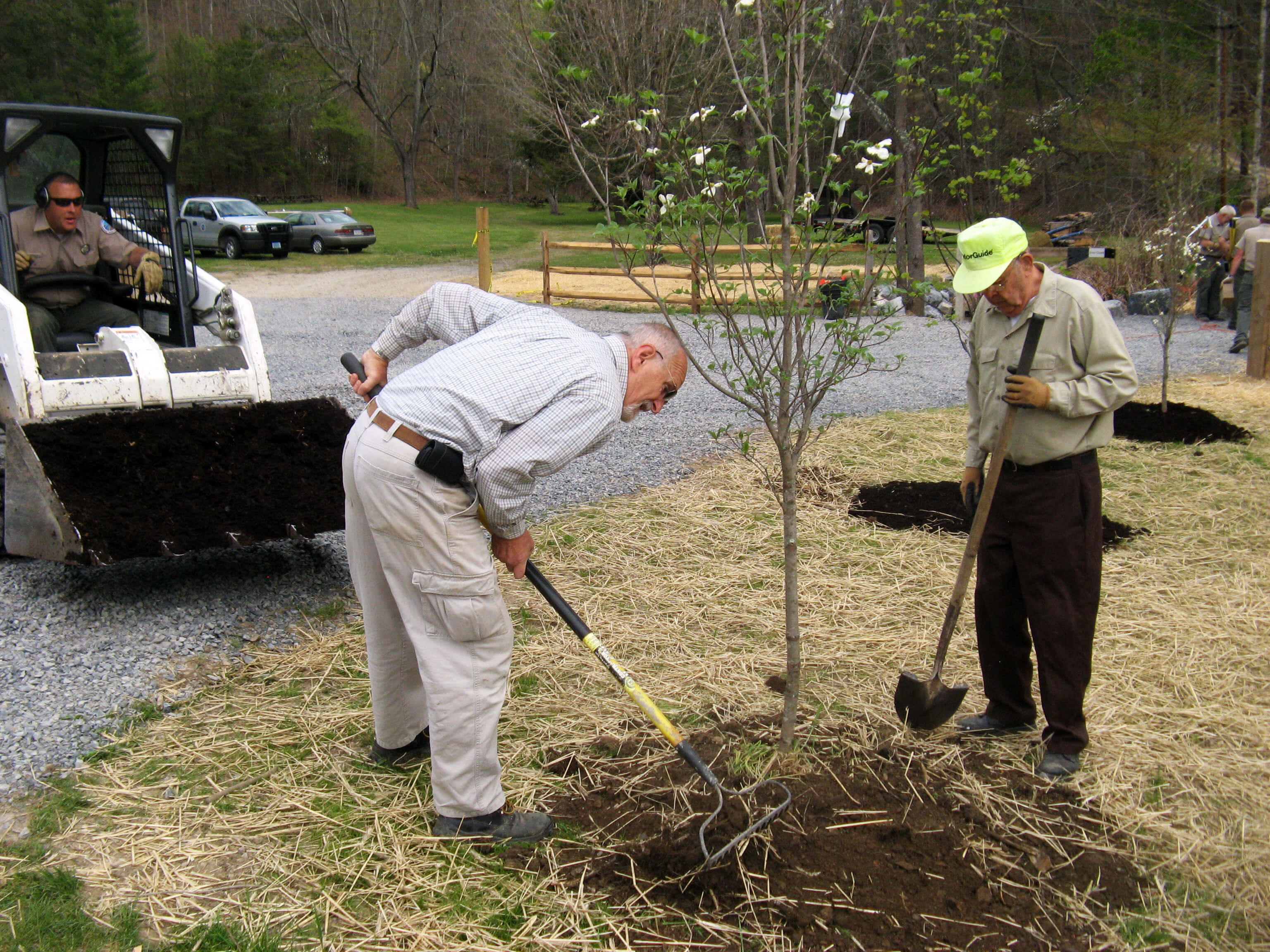 planting trees