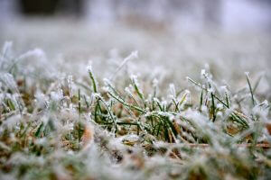 Winter lawn care tips.