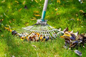 Take care of your lawn now for the most enjoyment in the spring.